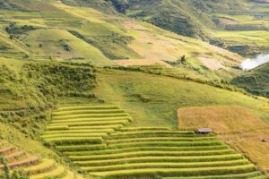 G7589619297fea14cfac535e866f9cbf5db8eefda422f95ec3851f3e2a2f59896959f0b45ea0a05afdb9c664e48eb0c0699e626d38eb37f10233a29fe700f1e68 640