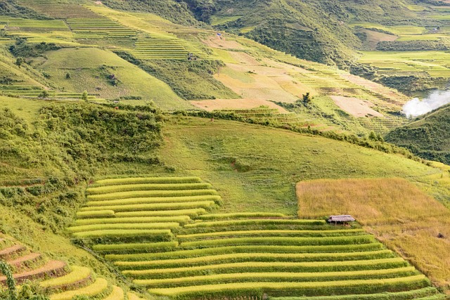 G7589619297fea14cfac535e866f9cbf5db8eefda422f95ec3851f3e2a2f59896959f0b45ea0a05afdb9c664e48eb0c0699e626d38eb37f10233a29fe700f1e68 640