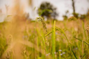 Gcef54fa076d7e4ebd25d2c4fbef1bd69b4fd21113f5ecf280be337ea949632285f7fa2a3bf1d832164b72f4635cea2f32f2253dcde2dac8ab37be3b127e0e783 640